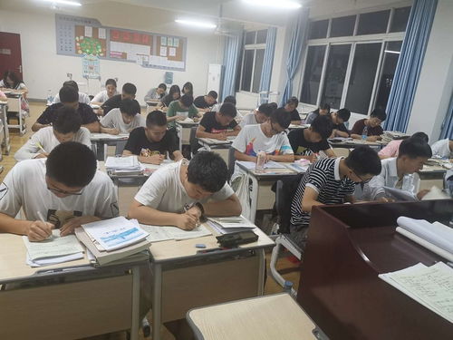 乐山市计算机学校 软件与辅助设备的发展与应用